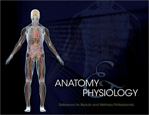 Anatomy and Physiology Reference for Beauty and Wellness Professionals - Xcluciv Barber Supplier
